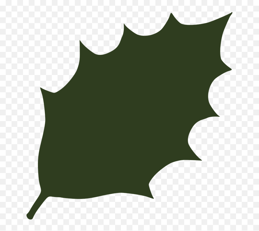 Free Greenery Leaves Vectors - Hojas De Acebo Png Emoji,Umbrella Emoji