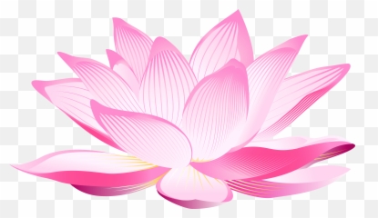 Transparent Background Lotus Flower Images Clipart - Lotus Flower Transparent Background Emoji,Lotus Emoji