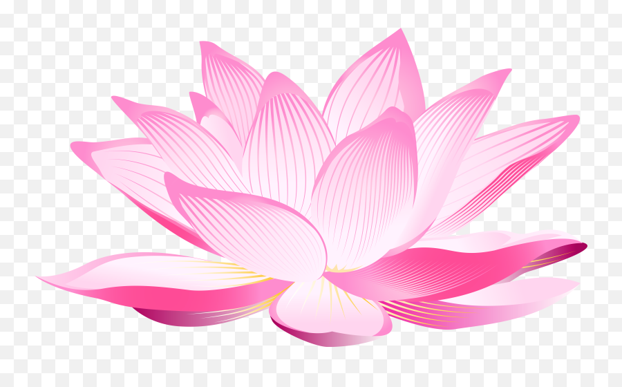 Transparent Background Lotus Flower Images Clipart - Lotus Flower Transparent Background Emoji,Lotus Emoji