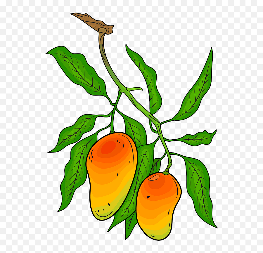Mango - Mango In The Tree Clipart Emoji,Mango Emoji