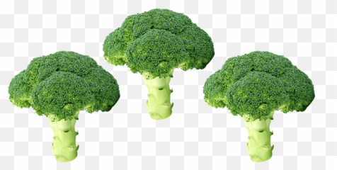 Broccoli Png Vegetables Green Organic Salad Emoji,Pot Leaf Emoji