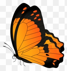 Butterfly Orange Transparent Clip Art Emoji,Butterfly Emoji Apple