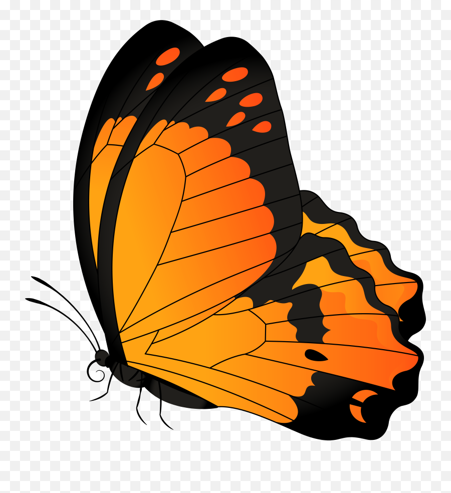 Butterfly Orange Transparent Clip Art Emoji,Butterfly Emoji Apple
