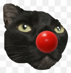 Tbh Iu0027m not ashamed of this at all love it - Black Cat Emoji
