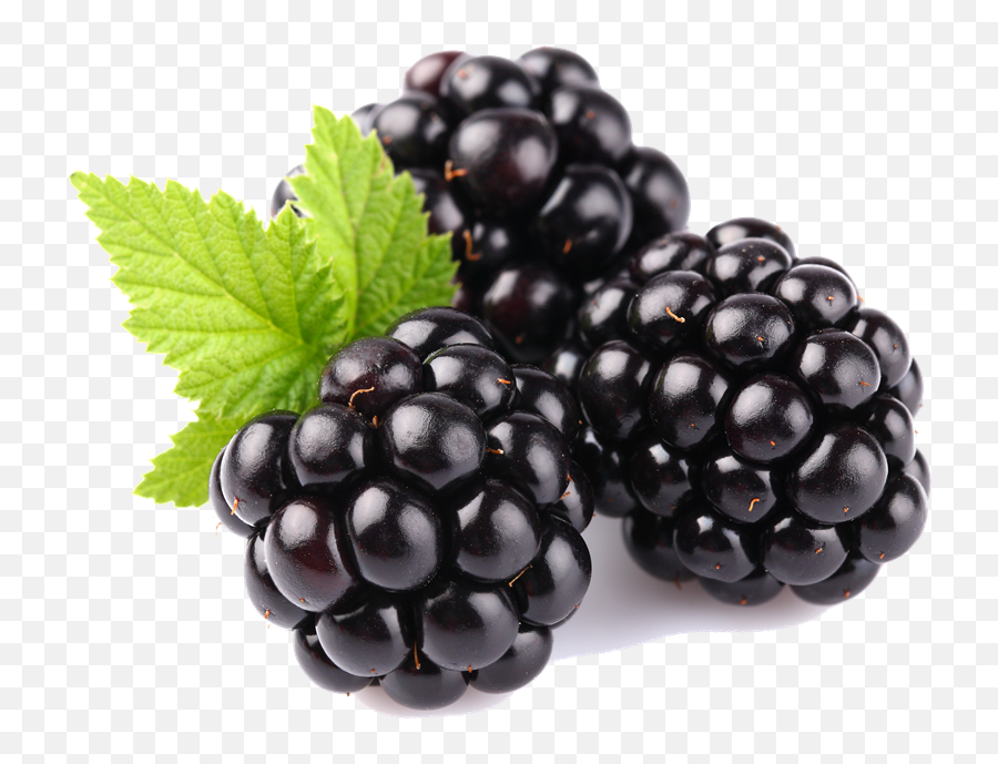 Edit - Blackberry Fruit Emoji,Blackberry Emoji