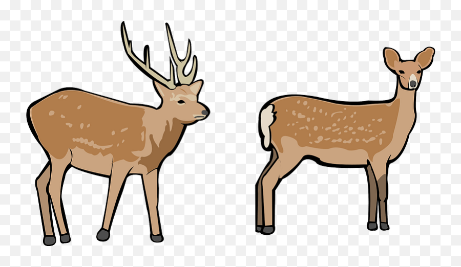 Deer - Animal Figure Emoji,Deer Hunting Emoji