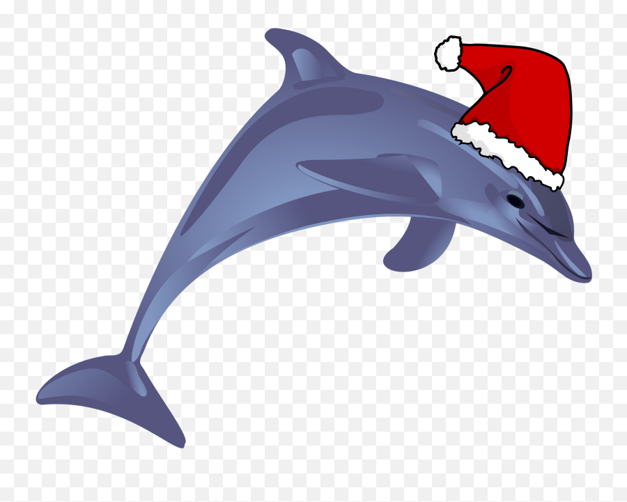 Dolphin With Santa Hat Clipart Free Download Transparent - Santa With Dolphin Clip Art Free Emoji,Christmas Hat Emoji