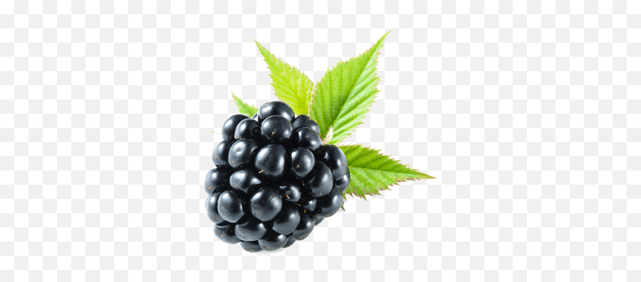 Blackberry Fruit Transparent Png - Blackberry Png Emoji,Blackberry Emoji Keyboard