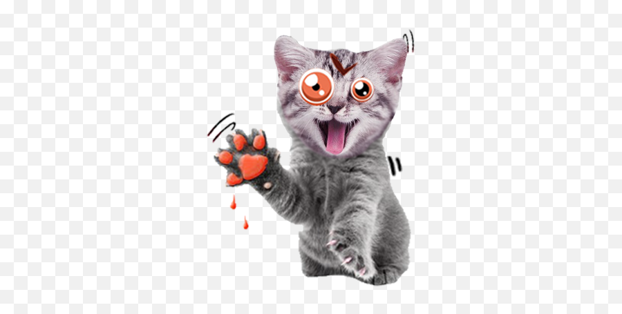 Catsticker - Cat Paw Blush Emoji,Grey Cat Emoji