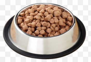 Dog Food Png - Transparent Background Bowl Emoji
