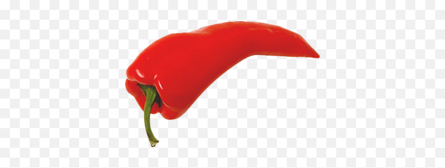 Pepper Png And Vectors For Free - Transparent Chili Pepper Png Emoji,Hot Pepper Emoji