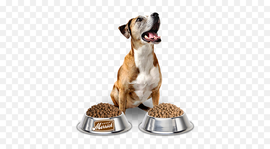 Dog Food Png - Dog Food Png Emoji,Down Dog Emoji