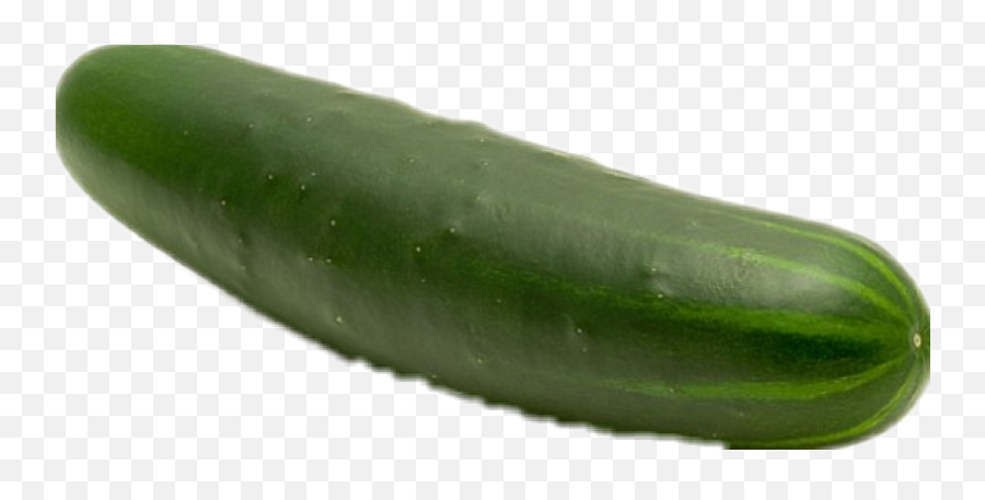 Pepino Png - Pepino Sticker Cucumber 1425118 Vippng Dünyann En Büyük Salatal Emoji,Cucumber Emoji