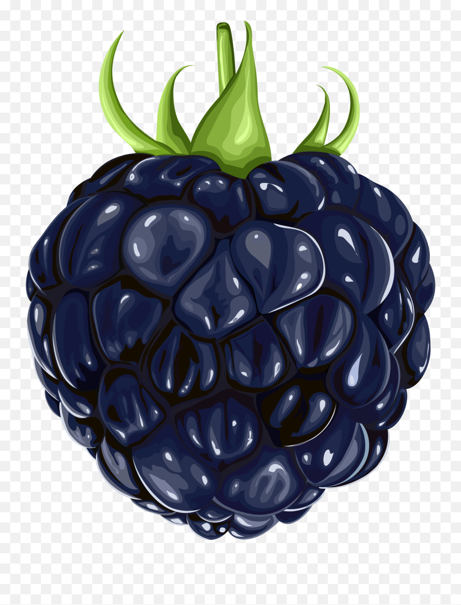 Fruits Clipart Emoji Fruits Emoji - Blackberry Png,Berry Emoji