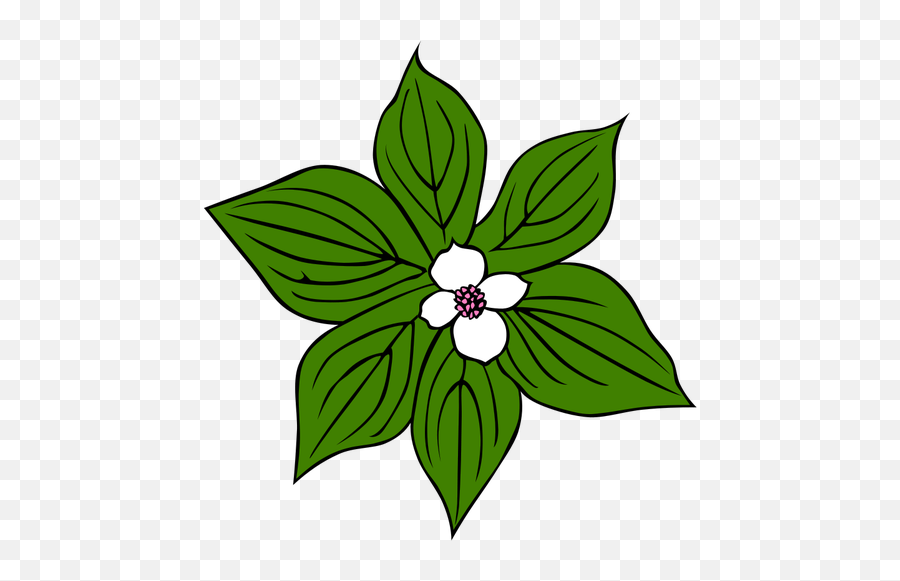 Flower With Green Leaves Vector Art - Rainforest Plant Clipart Emoji,Pot Leaf Emoji