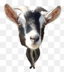 Goat Head Animals - Goat Head Goat Png Emoji,Goat Head Emoji