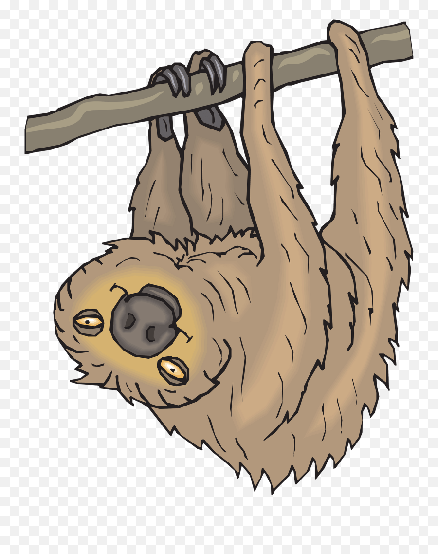 Sloth Hanging From Branch Clipart - Desenho De Uma Preguiça Subindo Na Árvore Emoji,Sloth Emoji