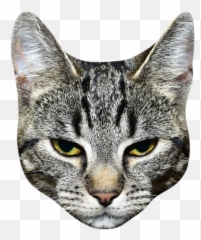 Cat Head Png - Transparent Background Cat Head Png Emoji,Cat Emoji Keyboard