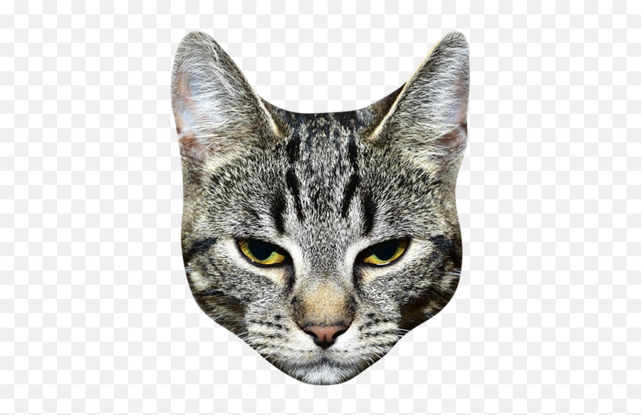 Cat Head Png - Transparent Background Cat Head Png Emoji,Cat Emoji Keyboard