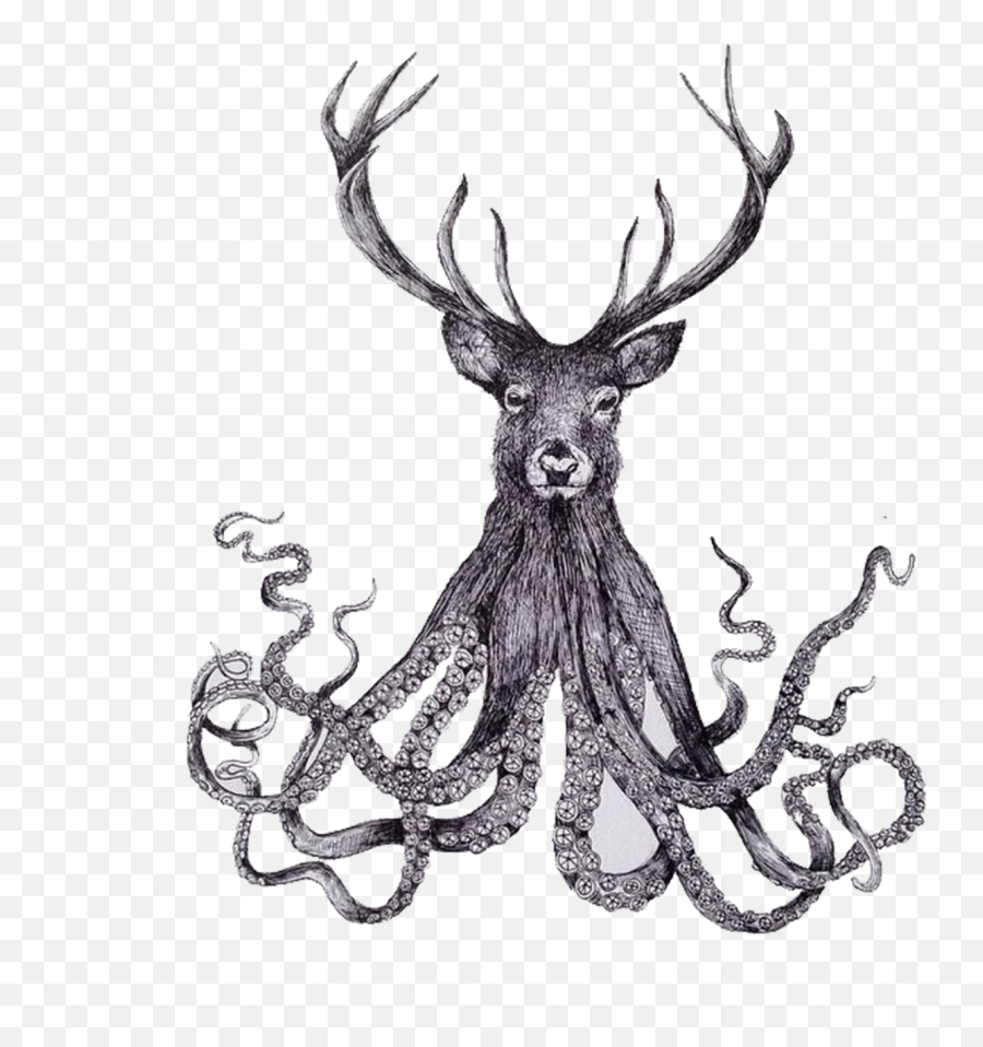 Raindeer Drawing Head Transparent Png - Drawing Octopus Emoji,Octopus Pen Emoji
