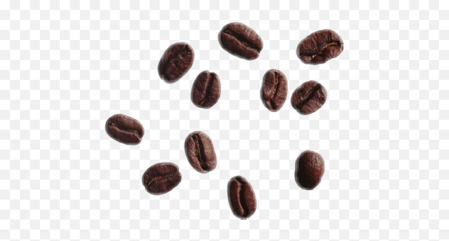 Coffee Beans Bean Aesthetic Brown - Coffee Beans Png Emoji,Coffee Bean Emoji