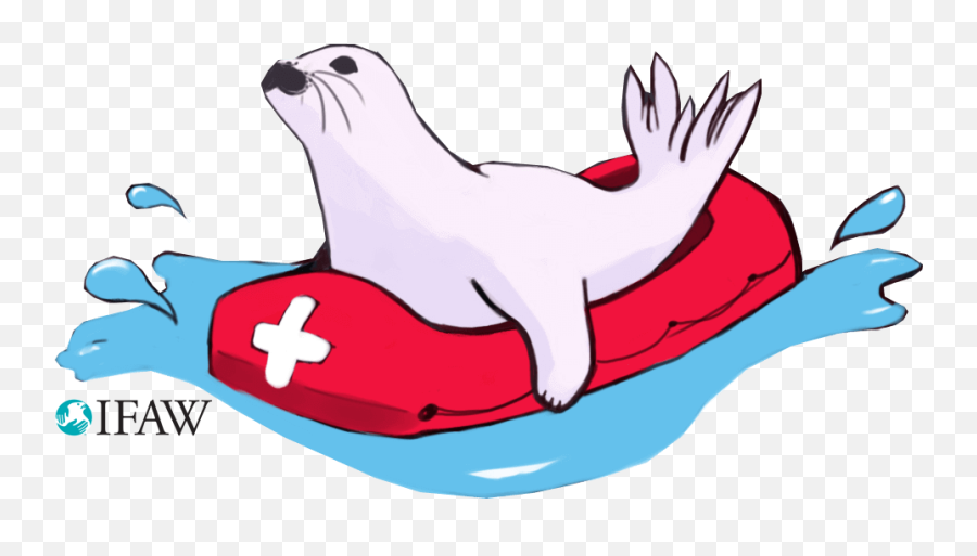 Ifaw Illustrated Messaging Sticker - Clip Art Emoji,Sea Lion Emoji
