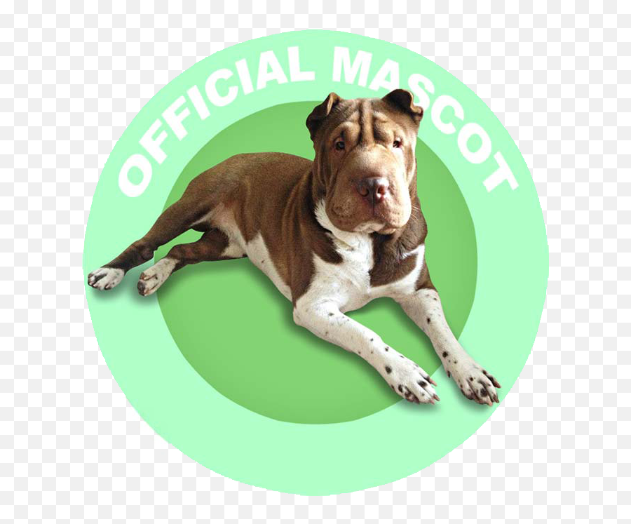 Luluu0027s Pet Supply - Natural Pet Supplies U0026 Products American Pit Bull Terrier Emoji,Pit Bull Emoji