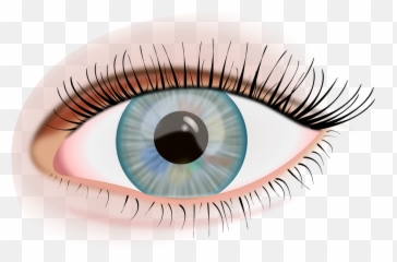Eye Iris View Emoji