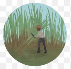 Palm Tree - Illustration Emoji,Haitian Emoji