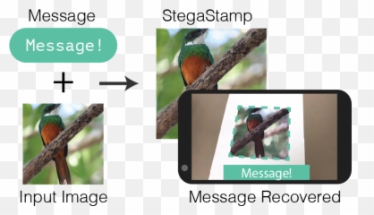 Matthew Tancik - Projects Jacamar Emoji
