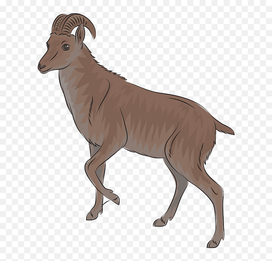 Wild Goat Nilgiri Tahr Clipart - Nilgiri Tahr Clipart Emoji,Goat Emoji Hat