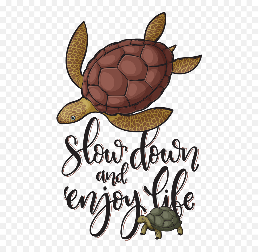 Variety Of Turtles T - Turtles Emoji,Turtle Emoji