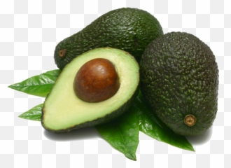 Avocado Transparent Background Png Svg - Emoji