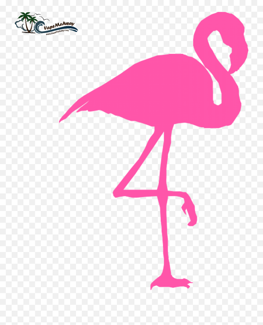 Clipart Flamingo Png Transparent - Black And White Flamingo Clipart Emoji,Pink Flamingo Emoji