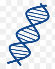 Transparent Dna Royalty Free Transparent Png Clipart Free - Dna Clip Art Emoji,Dna Emoji