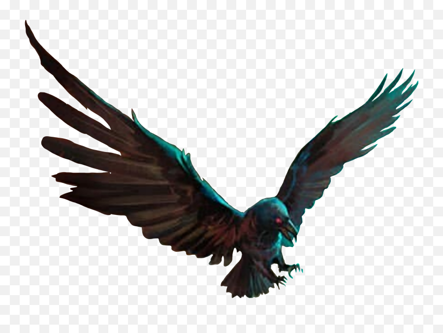 Crow Black Blackbird Bird Raven Sticker - Raven Emoji,Raven Bird Emoji