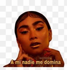 Download Png Memes Para Stickers De Whatsapp PNG u0026 GIF BASE - Emoji