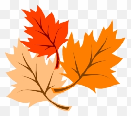 Fall Clipart Maple Tree Fall Maple Tree Transparent Free - Transparent Background Fall Leaves Clipart Emoji,Maple Leaf Emoji