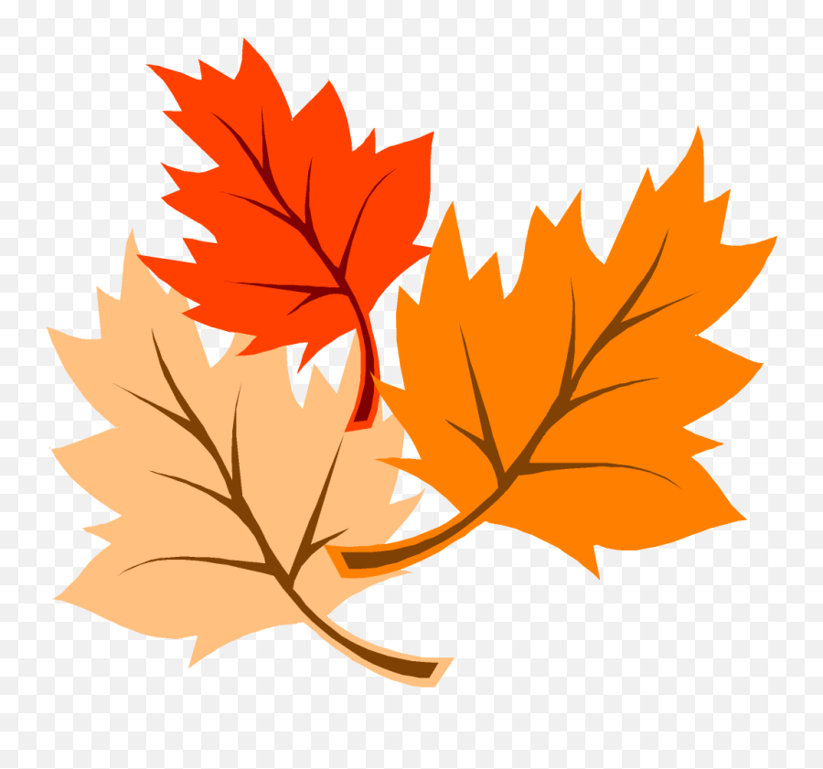 Fall Clipart Maple Tree Fall Maple Tree Transparent Free - Transparent Background Fall Leaves Clipart Emoji,Maple Leaf Emoji