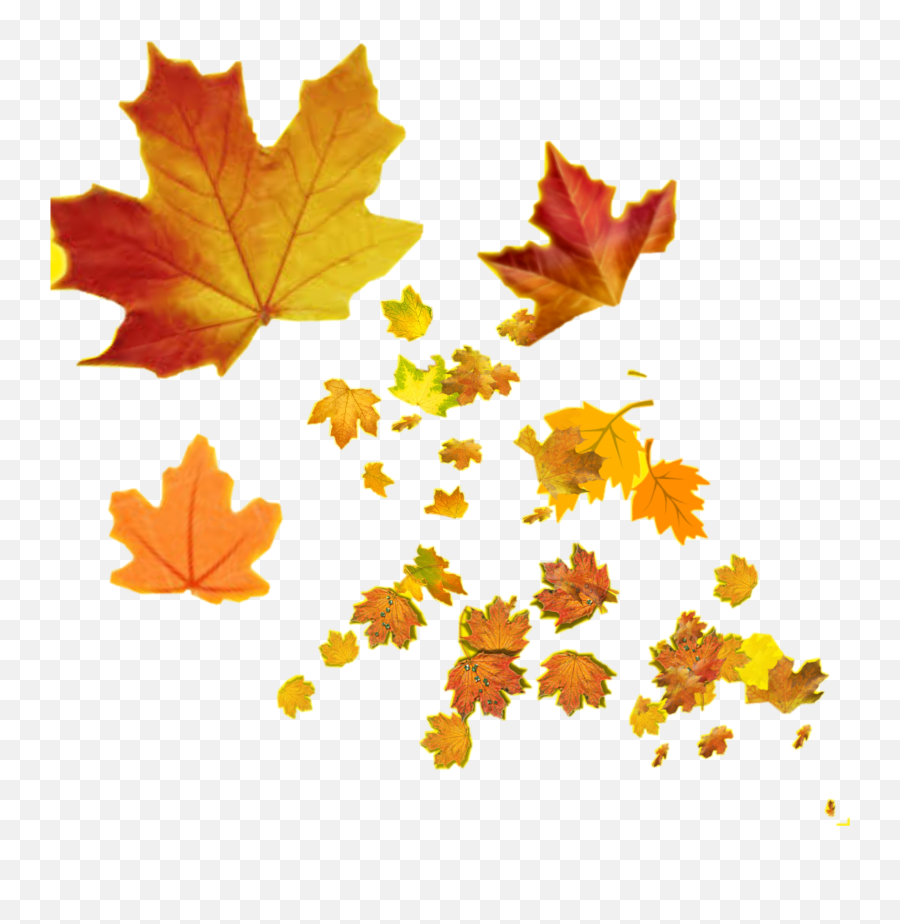 Trending Maple Leaf Stickers - Maple Leaf Emoji,Maple Leaf Emoji