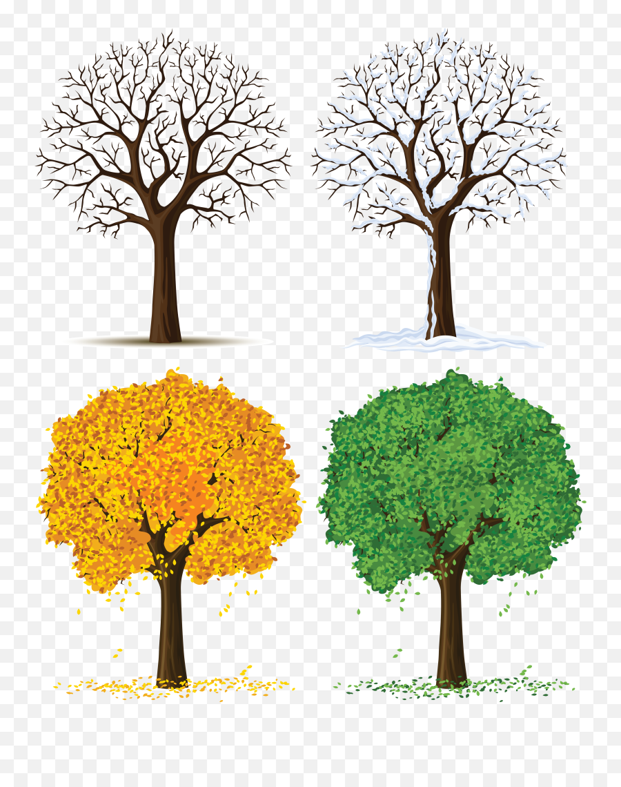 Seasons Clipart Transparent Background - Tree Changes During Seasons Emoji,Emoji Four Seasons