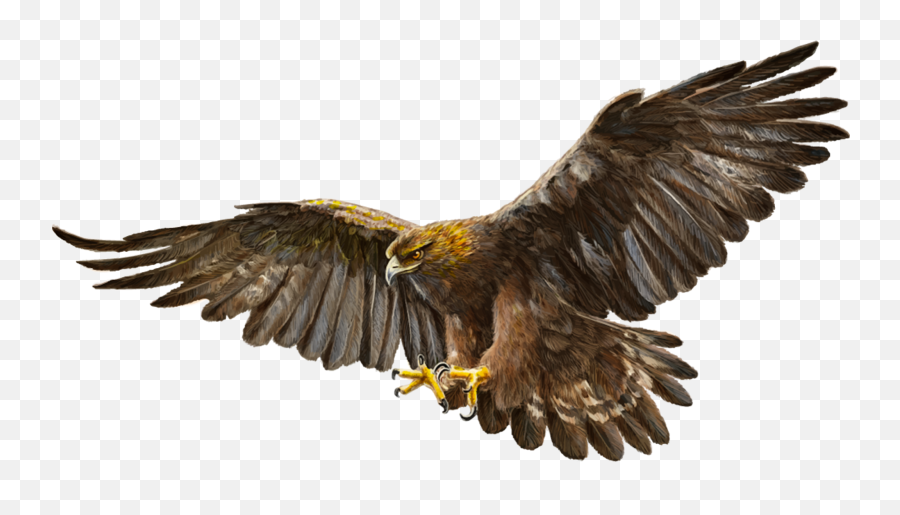 Bald Eagle Bird Golden Eagle - Golden Eagle Png Emoji,Eagle Emoji