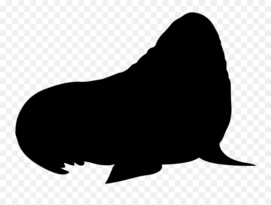 Walrus Mammal Silhouette Comments - Walrus Silhouette Png Emoji,Walrus Emoji