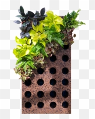 Living Wall Systems - Cork Green Wall Emoji,Shrub Emoji