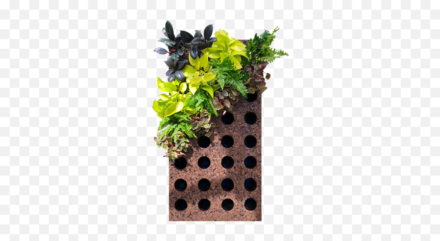 Living Wall Systems - Cork Green Wall Emoji,Shrub Emoji