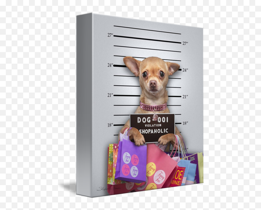 Pin - Funny Pictures Of Chihuahuas Emoji,Jiffpom Emoji