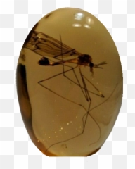 Jurassic Park With Mosquito - Transparent Emoji
