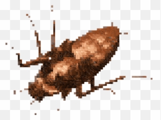 Beetle Bug Stickers For Android Ios - Insect Emoji,Cockroach Emoji