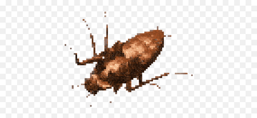 Beetle Bug Stickers For Android Ios - Insect Emoji,Cockroach Emoji