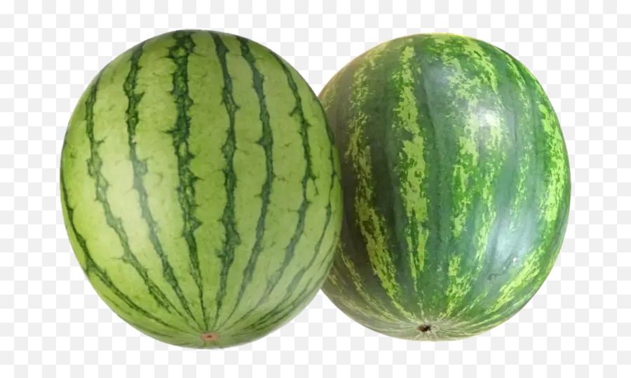 Largest Collection Of Free - Watermelon Emoji,Melon Emoji